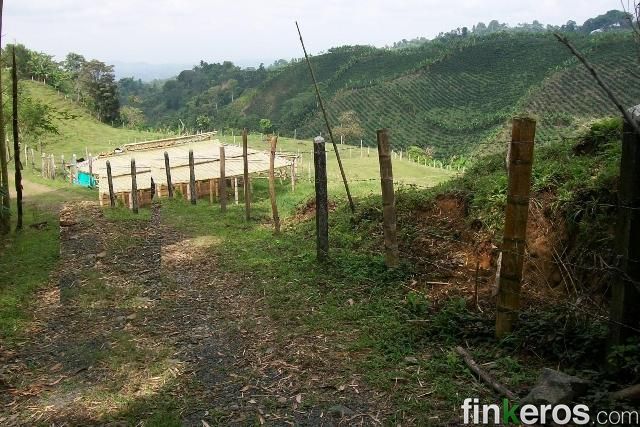 FILANDIA QUINDIO SE VENDE FINCA 17 PLAZAS - Finca en Filandia, Quindío